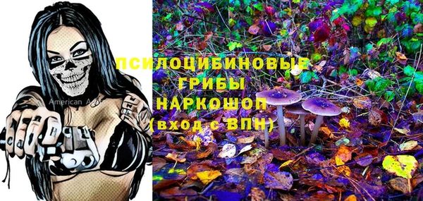 крисы Лабытнанги