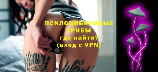 apvp Ладушкин