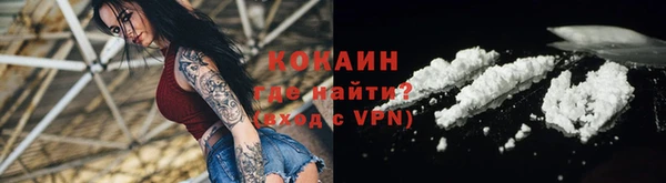 крисы Лабытнанги