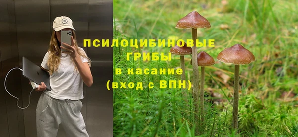 крисы Лабытнанги