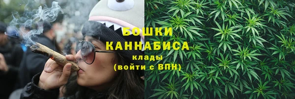 крисы Лабытнанги