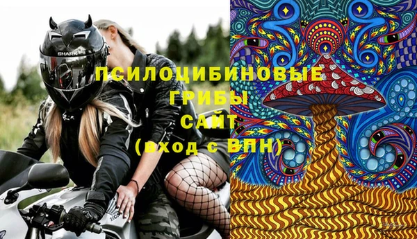 apvp Ладушкин