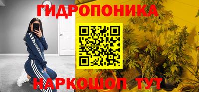 СК Лесосибирск