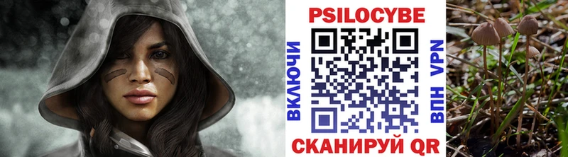 Галлюциногенные грибы MAGIC MUSHROOMS  продажа наркотиков  Туймазы 