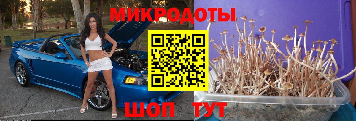 Псилоцибиновые грибы Psilocybine cubensis Туймазы